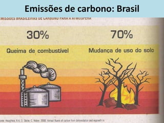 Emissões de carbono: Brasil
 