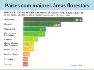 Países com maiores áreas florestais
 
