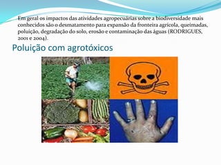 Poluição com agrotóxicos
Em geral os impactos das atividades agropecuárias sobre a biodiversidade mais
conhecidos são o desmatamento para expansão da fronteira agrícola, queimadas,
poluição, degradação do solo, erosão e contaminação das águas (RODRIGUES,
2001 e 2004).
 