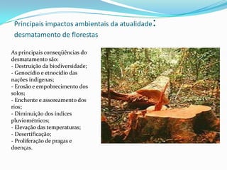 Principais impactos ambientais da atualidade:
desmatamento de florestas
As principais conseqüências do
desmatamento são:
- Destruição da biodiversidade;
- Genocídio e etnocídio das
nações indígenas;
- Erosão e empobrecimento dos
solos;
- Enchente e assoreamento dos
rios;
- Diminuição dos índices
pluviométricos;
- Elevação das temperaturas;
- Desertificação;
- Proliferação de pragas e
doenças.
 
