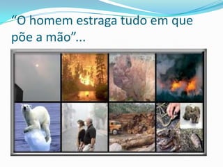 “O homem estraga tudo em que
põe a mão”...
 