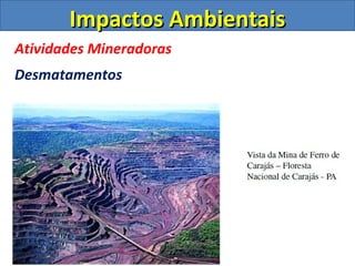 Impactos AmbientaisImpactos Ambientais
Atividades Mineradoras
Desmatamentos
 