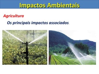 Impactos AmbientaisImpactos Ambientais
Agricultura
Os principais impactos associados.
 