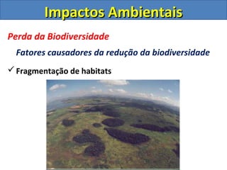 Impactos AmbientaisImpactos Ambientais
Perda da Biodiversidade
Fatores causadores da redução da biodiversidade
Fragmentação de habitats
 