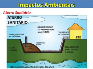 Impactos AmbientaisImpactos Ambientais
Aterro Sanitário
 
