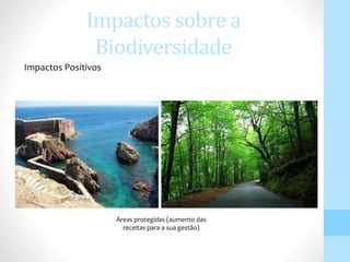 Impactos sobre a
Biodiversidade
Impactos Positivos
Áreas protegidas (aumento das
receitas para a sua gestão)
 