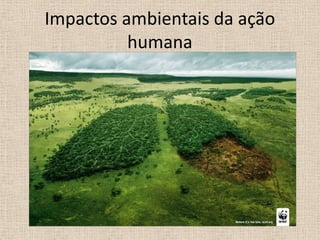 Impactos ambientais da ação
humana

 