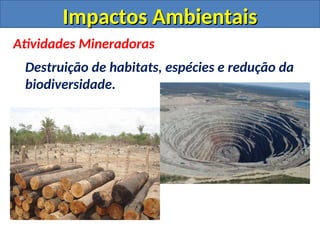 Impactos Ambientais
Impactos Ambientais
Atividades Mineradoras
Destruição de habitats, espécies e redução da
biodiversidade.
 