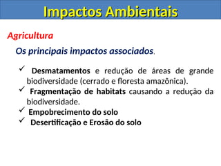 Impactos Ambientais
Impactos Ambientais
Agricultura
Os principais impactos associados.
 Desmatamentos e redução de áreas de grande
biodiversidade (cerrado e floresta amazônica).
 Fragmentação de habitats causando a redução da
biodiversidade.
 Empobrecimento do solo
 Desertificação e Erosão do solo
 
