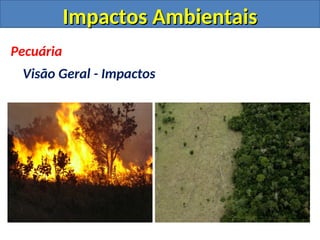 Impactos Ambientais
Impactos Ambientais
Pecuária
Visão Geral - Impactos
 