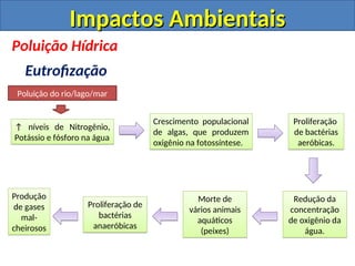 ↑ níveis de Nitrogênio,
Potássio e fósforo na água
Crescimento populacional
de algas, que produzem
oxigênio na fotossíntese.
Proliferação
de bactérias
aeróbicas.
Redução da
concentração
de oxigênio da
água.
Morte de
vários animais
aquáticos
(peixes)
Proliferação de
bactérias
anaeróbicas
Produção
de gases
mal-
cheirosos
Poluição do rio/lago/mar
Poluição Hídrica
Eutrofização
Impactos Ambientais
Impactos Ambientais
 