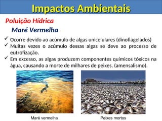  Ocorre devido ao acúmulo de algas unicelulares (dinoflagelados)
 Muitas vezes o acúmulo dessas algas se deve ao processo de
eutrofização.
 Em excesso, as algas produzem componentes químicos tóxicos na
água, causando a morte de milhares de peixes. (amensalismo).
Maré vermelha Peixes mortos
Poluição Hídrica
Maré Vermelha
Impactos Ambientais
Impactos Ambientais
 