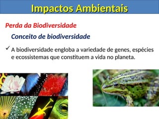 Impactos Ambientais
Impactos Ambientais
Perda da Biodiversidade
Conceito de biodiversidade
A biodiversidade engloba a variedade de genes, espécies
e ecossistemas que constituem a vida no planeta.
 