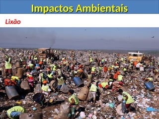 Impactos Ambientais
Impactos Ambientais
Lixão
 