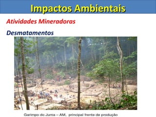 Impactos Ambientais
Atividades Mineradoras
Desmatamentos
 