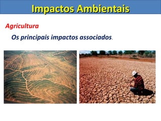Impactos Ambientais
Agricultura
 Os principais impactos associados.
 