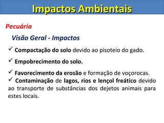 Impactos Ambientais
Pecuária
 Visão Geral - Impactos
 Compactação do solo devido ao pisoteio do gado.
 Empobrecimento do solo.
 Favorecimento da erosão e formação de voçorocas.
 Contaminação de lagos, rios e lençol freático devido
ao transporte de substâncias dos dejetos animais para
estes locais.
 