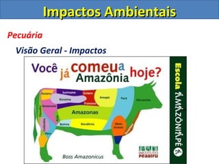 Impactos Ambientais
Pecuária
 Visão Geral - Impactos
 