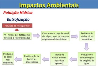 Impactos Ambientais
Poluição Hídrica
   Eutrofização
 Poluição do rio/lago/mar


                                     Crescimento populacional     Proliferação
↑ níveis de Nitrogênio,
                                     de algas, que produzem       de bactérias
Potássio e fósforo na água           oxigênio na fotossíntese.     aeróbicas.




Produção                                        Morte de          Redução da
de gases           Proliferação de            vários animais     concentração
  mal-                bactérias
                                                aquáticos        de oxigênio da
cheirosos           anaeróbicas                  (peixes)            água.
 