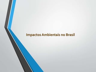 Impactos Ambientais no Brasil
 