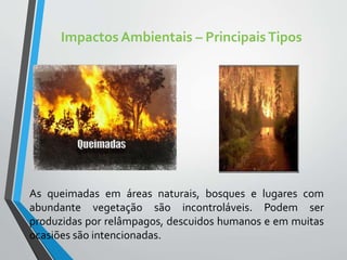 Impactos Ambientais – PrincipaisTipos
As queimadas em áreas naturais, bosques e lugares com
abundante vegetação são incontroláveis. Podem ser
produzidas por relâmpagos, descuidos humanos e em muitas
ocasiões são intencionadas.
 