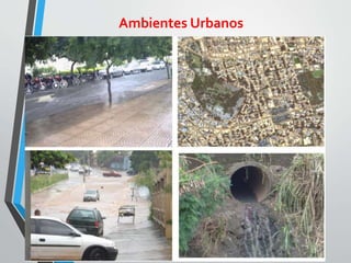 Ambientes Urbanos
 