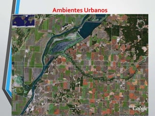 Ambientes Urbanos
 