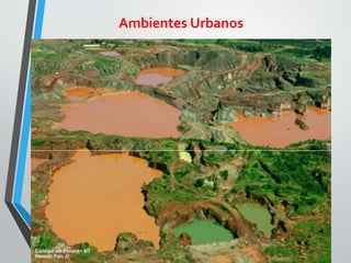 Ambientes Urbanos
 