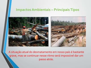 Impactos Ambientais – PrincipaisTipos
A situação atual do desmatamento em nosso país é bastante
grave, mas se continuar nesse ritmo será impossível dar um
passo atrás.
 