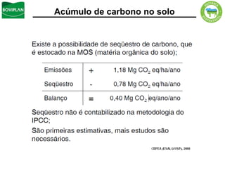 Acúmulo de carbono no solo
 