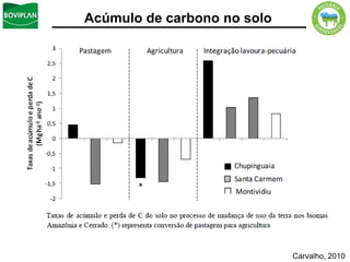 Acúmulo de carbono no solo




                             Carvalho, 2010
 