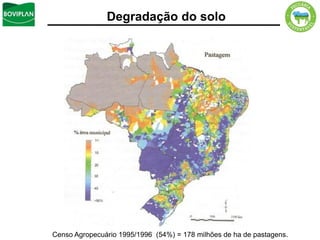 Degradação do solo




Censo Agropecuário 1995/1996 (54%) = 178 milhões de ha de pastagens.
 