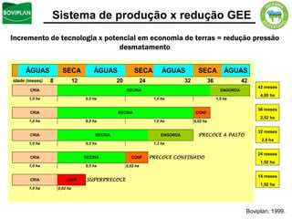 Sistema de produção x redução GEE
Incremento de tecnologia x potencial em economia de terras = redução pressão
                               desmatamento


     ÁGUAS            SECA             ÁGUAS              SECA            ÁGUAS            SECA             ÁGUAS
idade (meses)   8             12                 20             24                  32             36               42
                                                                                                                         42 meses
       CRIA                                           RECRIA                                              ENGORDA
                                                                                                                          4,00 ha
       1,0 ha                      0,5 ha                             1,0 ha                            1,5 ha

                                                                                                                         36 meses
       CRIA                                      RECRIA                                   CONF.
                                                                                                                          2,52 ha
       1,0 ha                      0,5 ha                             1,0 ha             0,02 ha

                                                                                                                         32 meses
       CRIA                             RECRIA                            ENGORDA          PRECOCE A PASTO
                                                                                                                          2,8 ha
       1,0 ha                      0,5 ha                             1,3 ha

                                                                                                                         24 meses
       CRIA                        RECRIA               CONF         PRECOCE CONFINADO
                                                                                                                          1,52 ha
       1,0 ha                      0,5 ha             0,02 ha

                                                                                                                         14 meses
       CRIA             CONF        SUPERPRECOCE
                                                                                                                          1,02 ha
       1,0 ha       0,02 ha




                                                                                                                     Boviplan, 1999.
 