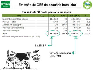 Emissão de GEE da pecuária brasileira

  Emissão de GEEs da pecuária brasileira




            62,8% BR

                       80% Agropecuária
                       20% Total
 