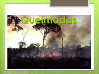 Queimadas 
 