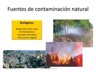 Fuentes de contaminación natural

                Biológicos:
            Respiración seres vivos
               Fermentaciones
             Incendios forestales
             Polinización vegetal




Eduardo Gómez                         Tema 5. Impacto ambiental   1
 