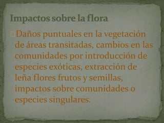 Daños puntuales en la vegetación
de áreas transitadas, cambios en las
comunidades por introducción de
especies exóticas, extracción de
leña flores frutos y semillas,
impactos sobre comunidades o
especies singulares.
 