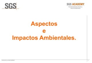 1© SGS SA 2012 ALL RIGHTS RESERVED
Aspectos
e
Impactos Ambientales.
 
