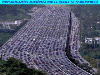 CONTAMINACIÓN ANTRÓPICA POR LA QUEMA DE COMBUSTIBLES
 