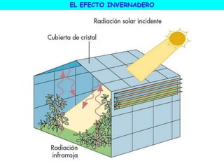 EL EFECTO INVERNADERO
 