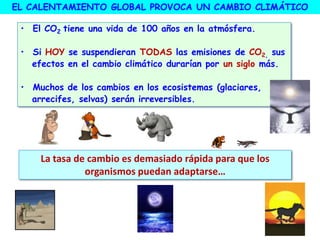 EL CALENTAMIENTO GLOBAL PROVOCA UN CAMBIO CLIMÁTICO
La tasa de cambio es demasiado rápida para que los
organismos puedan adaptarse…
• El CO2 tiene una vida de 100 años en la atmósfera.
• Si HOY se suspendieran TODAS las emisiones de CO2, sus
efectos en el cambio climático durarían por un siglo más.
• Muchos de los cambios en los ecosistemas (glaciares,
arrecifes, selvas) serán irreversibles.
 