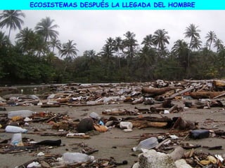 ECOSISTEMAS DESPUÉS LA LLEGADA DEL HOMBRE
 