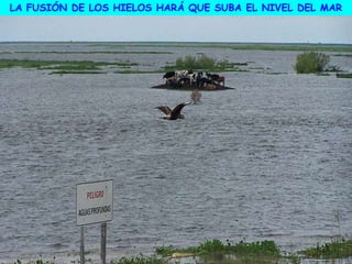 LA FUSIÓN DE LOS HIELOS HARÁ QUE SUBA EL NIVEL DEL MAR
 
