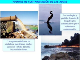 FUENTES DE CONTAMINACIÓN DE LAS AGUAS
 