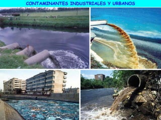 CONTAMINANTES INDUSTRIALES Y URBANOS
 