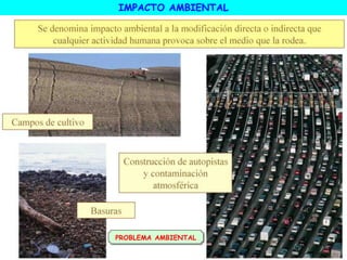 IMPACTO AMBIENTAL
PROBLEMA AMBIENTAL
 