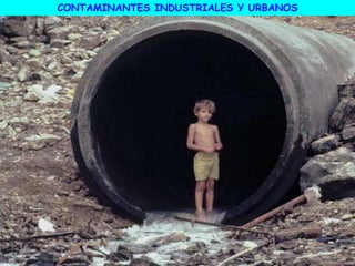 CONTAMINANTES INDUSTRIALES Y URBANOS
 