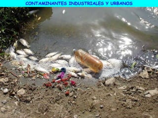 CONTAMINANTES INDUSTRIALES Y URBANOS
 