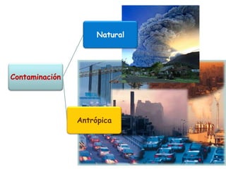 Contaminación
Natural
Antrópica
 