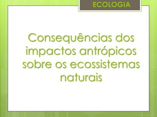 Consequências dos
impactos antrópicos
sobre os ecossistemas
naturais
ECOLOGIA
 